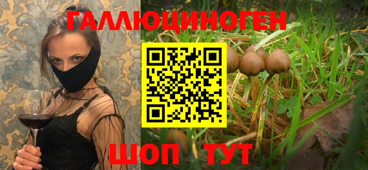Галлюциногенные грибы MAGIC MUSHROOMS Моздок